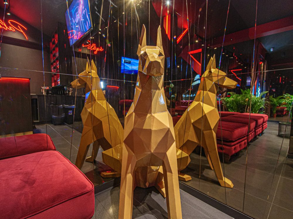 Party room erdvė, nuotrauka 32